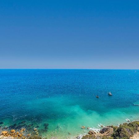 Lux Oceanfront Penthouse Suite Wpanoramic Views Avalon Εξωτερικό φωτογραφία