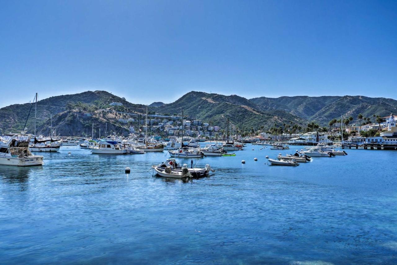 Lux Oceanfront Penthouse Suite Wpanoramic Views Avalon Εξωτερικό φωτογραφία