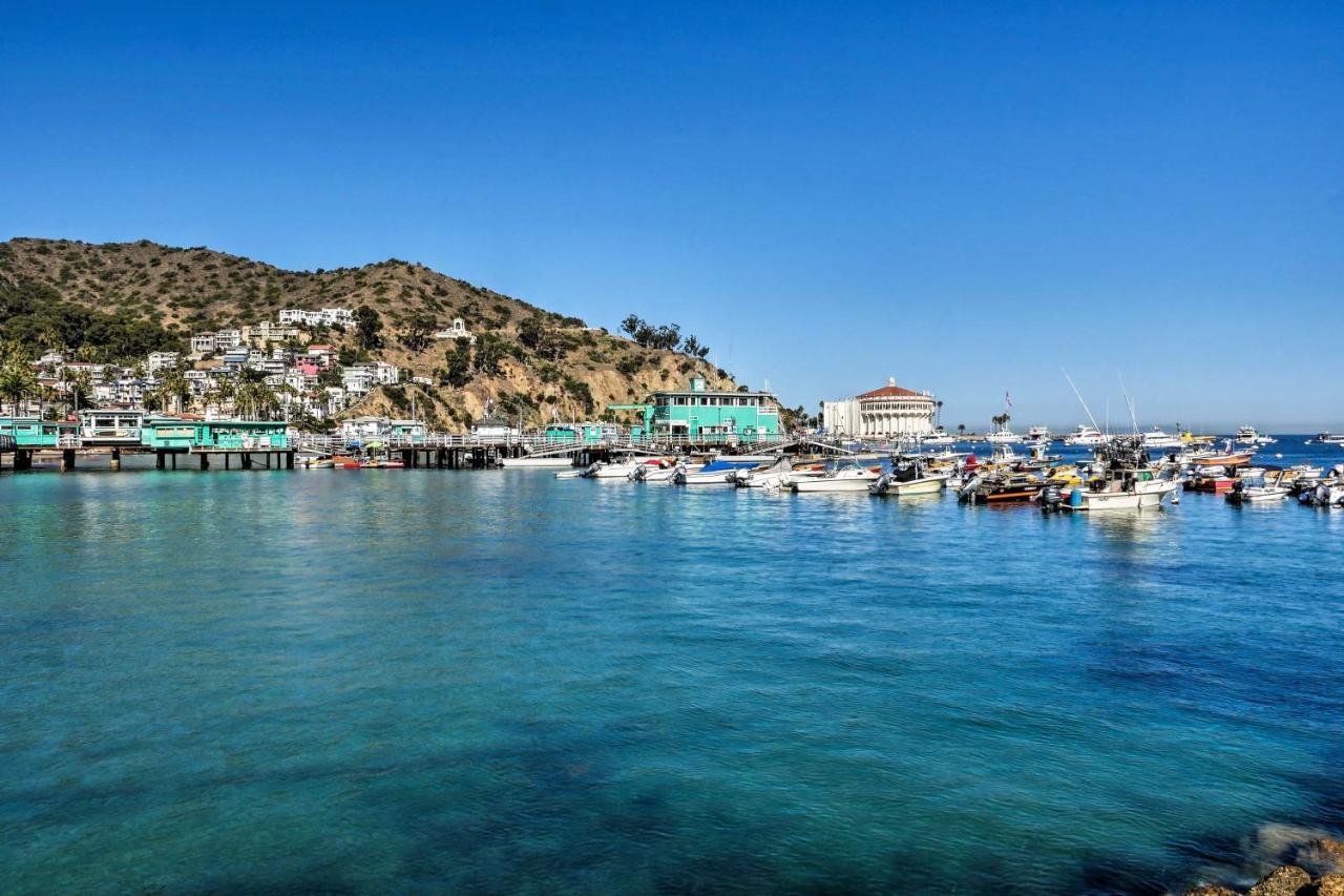 Lux Oceanfront Penthouse Suite Wpanoramic Views Avalon Εξωτερικό φωτογραφία