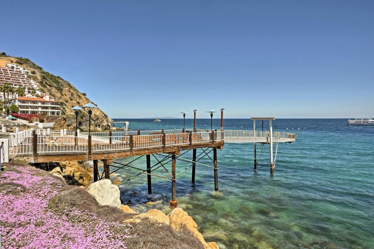 Lux Oceanfront Penthouse Suite Wpanoramic Views Avalon Εξωτερικό φωτογραφία
