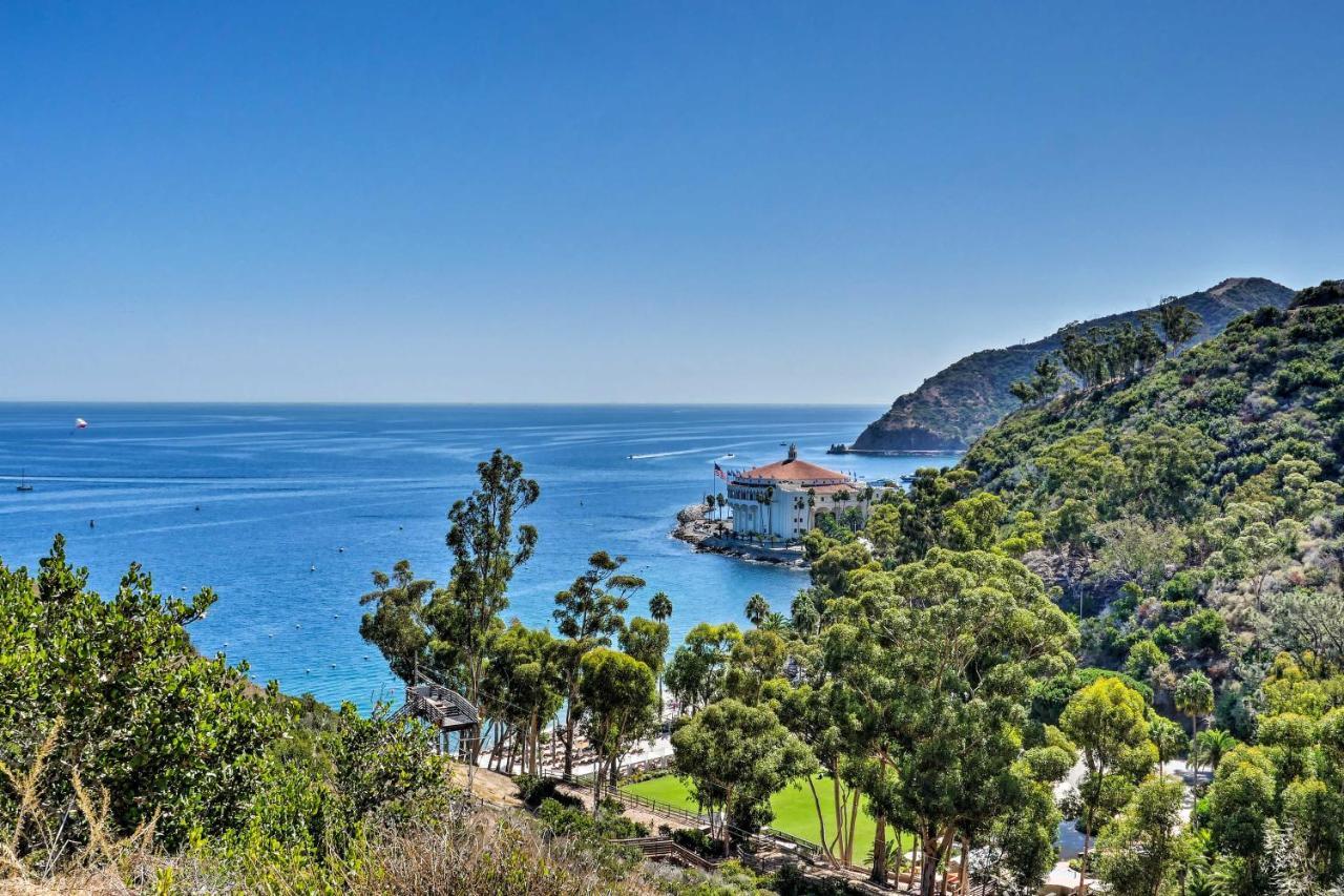 Lux Oceanfront Penthouse Suite Wpanoramic Views Avalon Εξωτερικό φωτογραφία