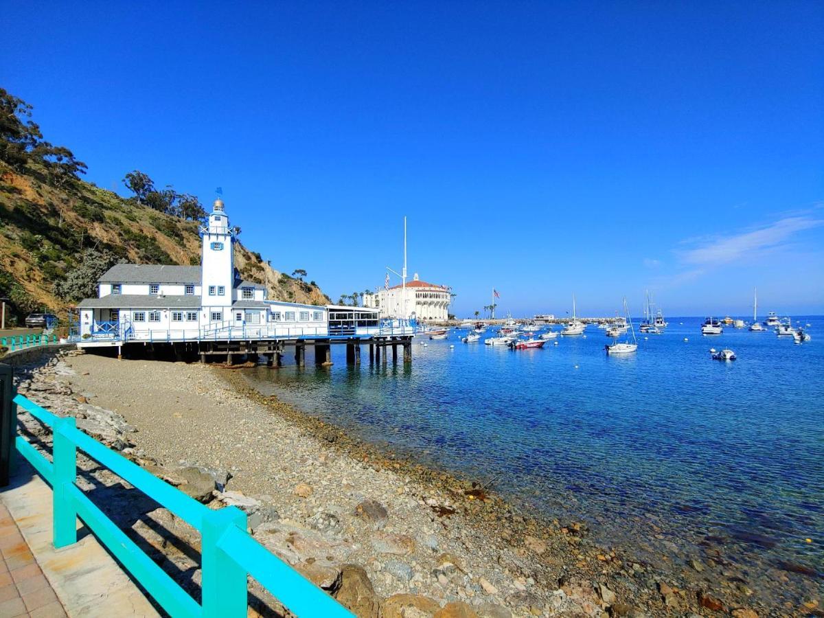 Lux Oceanfront Penthouse Suite Wpanoramic Views Avalon Εξωτερικό φωτογραφία