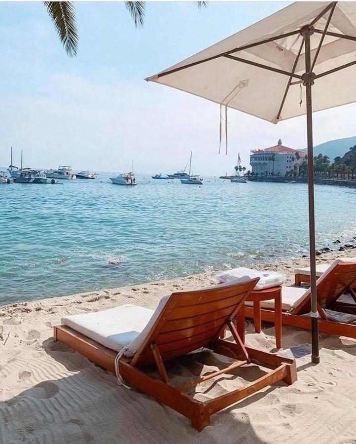 Lux Oceanfront Penthouse Suite Wpanoramic Views Avalon Εξωτερικό φωτογραφία